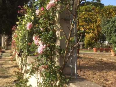 La parete che divide il giardino delle rose dal giardino di erbe officinali